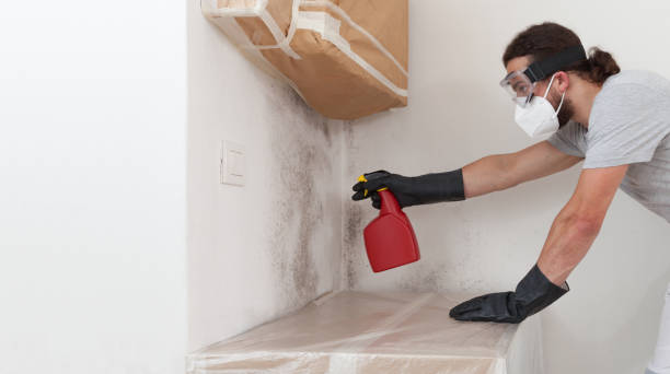 Professional Bathroom Mold Removal technician working in Hallwood, VA
