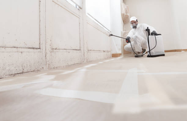 24/7 Emergency Bathroom Mold Removal experts in Hallwood, VA