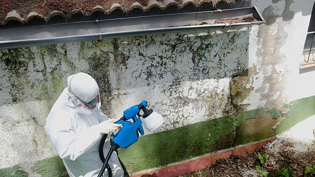Trusted Mold Inspection service in Hallwood, VA - Cheap Mold Removal